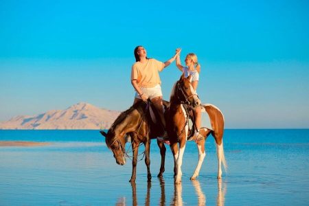Beach  Horse Riding Tour
